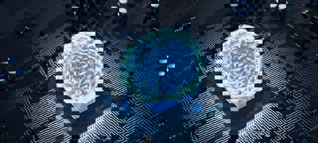 How the brain learns to see – and what AI can learn from it