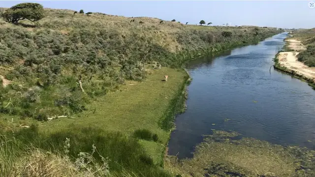 AI captures Wildlife in the Amsterdamse Waterleidingduinen